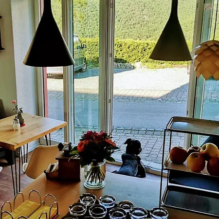 Moselsteig Lodge Lejlighedshotel